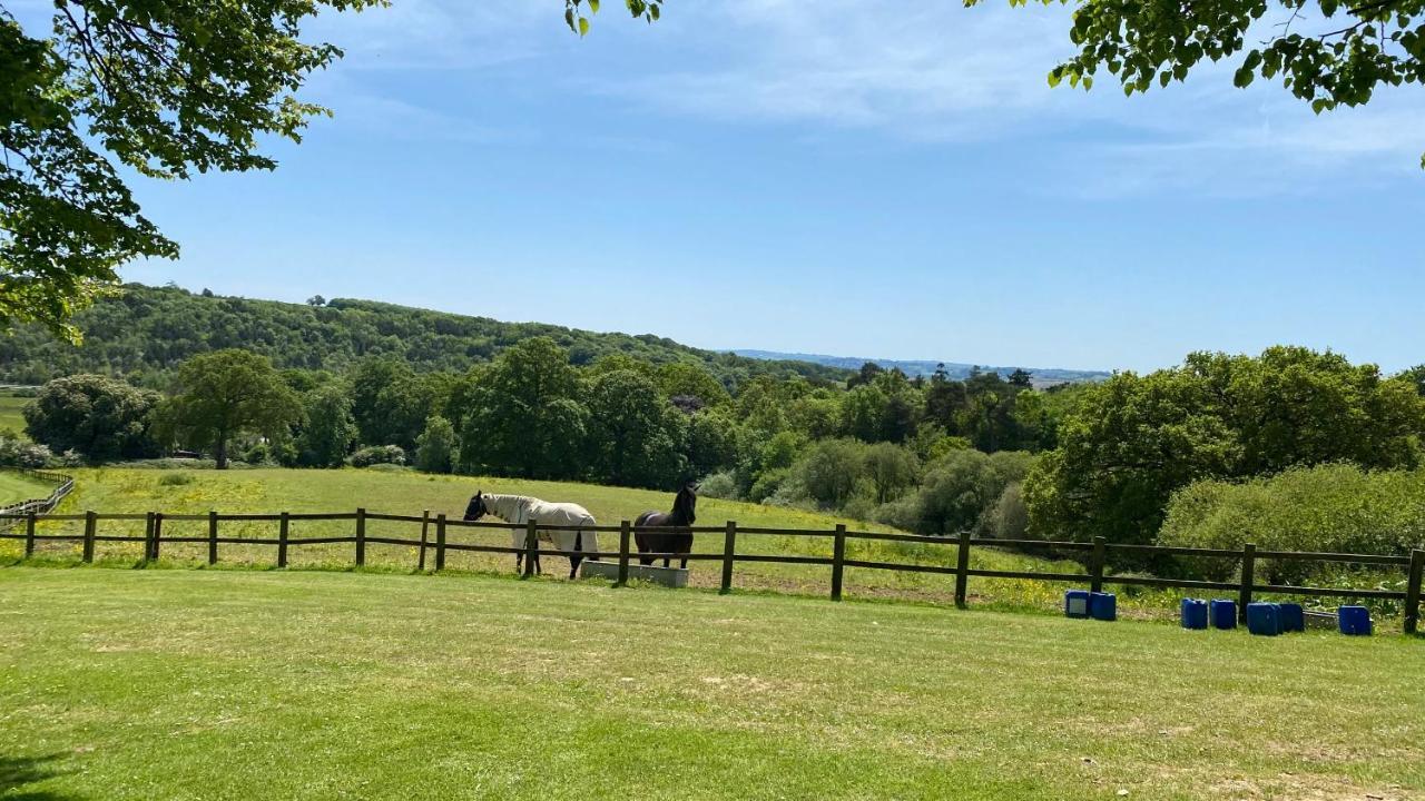Conkers Lodge For 6 With Hot Tub & Secluded Decking - Spa Resort In Devon Chudleigh Extérieur photo